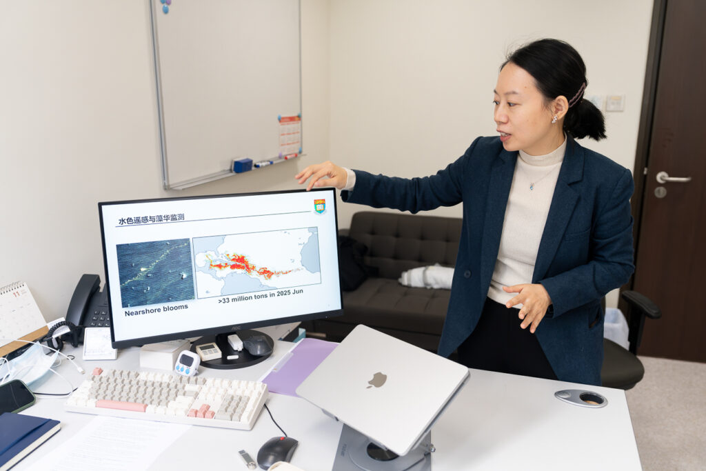 Professor Wang shows the scale of the Great Atlantic Sargassum Belt